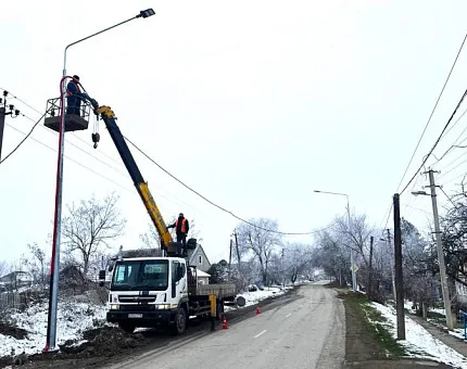 Поставка 471 комплекта уличного освещения для родового села Александра Пушкина Поставка 471 комплекта уличного освещения для родового села Александра Пушкина